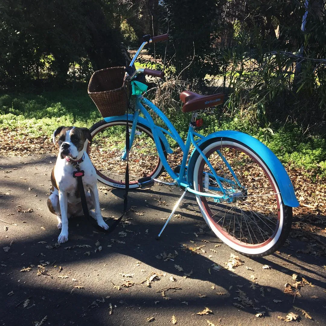 sixthreezero Scholar Women's 26" 21 Speed Beach Cruiser Bicycle