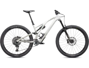 Stumpjumper EVO Expert GLOSS BIRCH / TAUPE